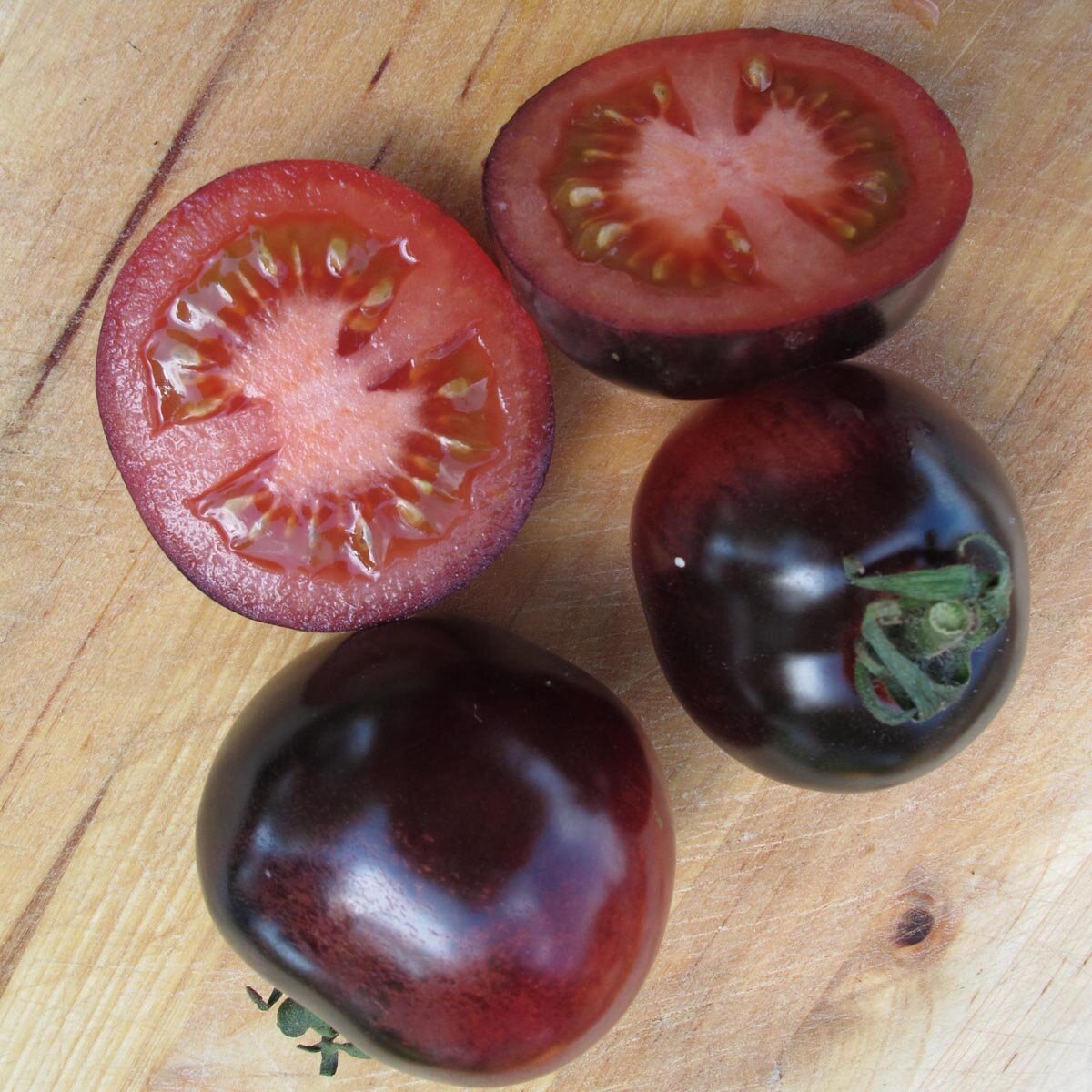 Pomodoro Indigo Rose Solanum Lycopersicum Semi