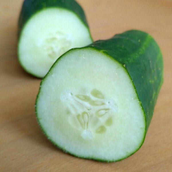 Cetriolo Marketmore (Cucumis sativus) biologico semi