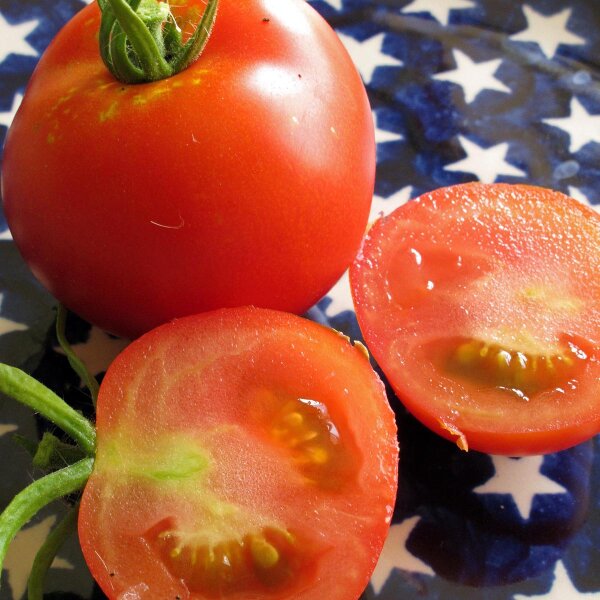 Pomodoro Hellfrucht (Solanum lycopersicum) semi