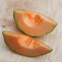Melone cantalupo Charentais (Cucumis melo) semi