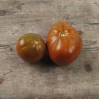 Pomodoro Black Pear (Solanum lycopersicum) semi