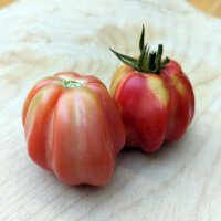 Pomodoro costoluto tigrato Striped Stuffer (Solanum lycopersicum) semi