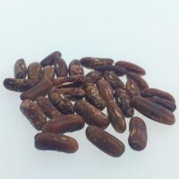 Fagiolo Nano Saxa (Phaseolus vulgaris) biologico semi