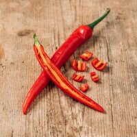 Peperoncino di Cayenna (Capsicum annuum var. acuminatum)...