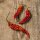 Peperoncino Bhut Jolokia (Capsicum chinense) semi