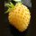 Fragola gialla Yellow Wonder (Fragaria vesca) semi