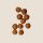 Falso pistacchio / Bossolo (Staphylea pinnata) semi