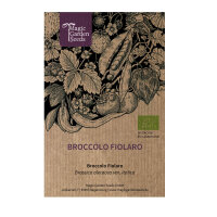 Broccolo "Fiolaro di Creazzo" (Brassica...