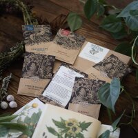 Ella Harrison Seed kit - The Folklore Seed Collection