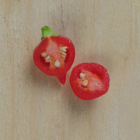 Peperoncino Biquinho (Capsicum chinense ) semi