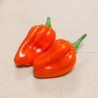 Peperoncino NuMex Suave Orange (Capsicum chinense) semi