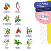 Chilis & Friends - 10 varietà di peperoncino e piante aromatiche ad impollinazione aperta - esotiche e piccanti - set di semi per principianti