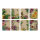 Bustine regalo - Splendore floreale - 40 bustine di carta colorate / bustine piatte con 8 design diversi