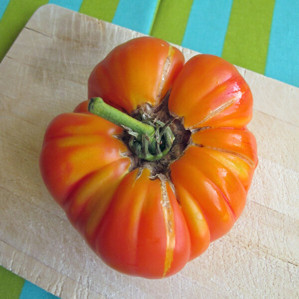 Pomodoro Ananas (Solanum lycopersicum) semi