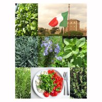 Erbe aromatiche per la cucina italiana - set di semi