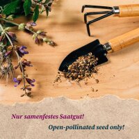 Ampio assortimento di semi di basilico - set regalo di semi
