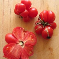 Pomodoro Voyage (Solanum lycopersicum) biologico semi