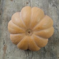 Zucca Moscata di Provenza  (Cucurbita moschata) biologico semi