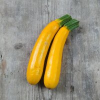 Zucchina gialla Golden (Cucurbita pepo) semi